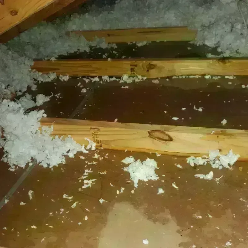 Attic Water Damage in Grand Ronde, OR